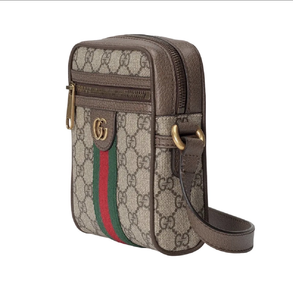 GG Bag