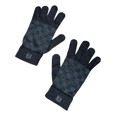 Louis Damier Navy old model Gloves