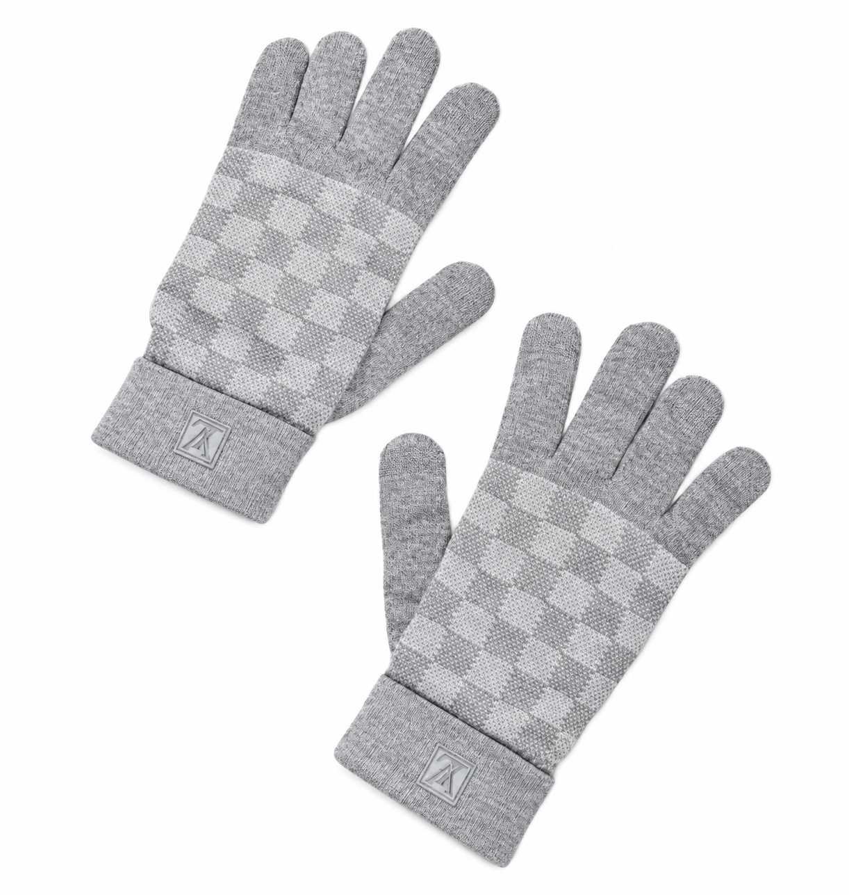 Louis Damier Grey old model Gloves